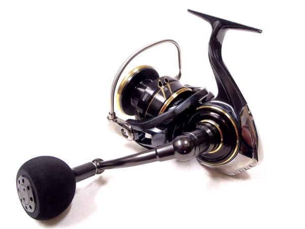 Amazon.co.jp: DAIWA 22CALDIA SW カルディアSW 8000-H : スポーツ